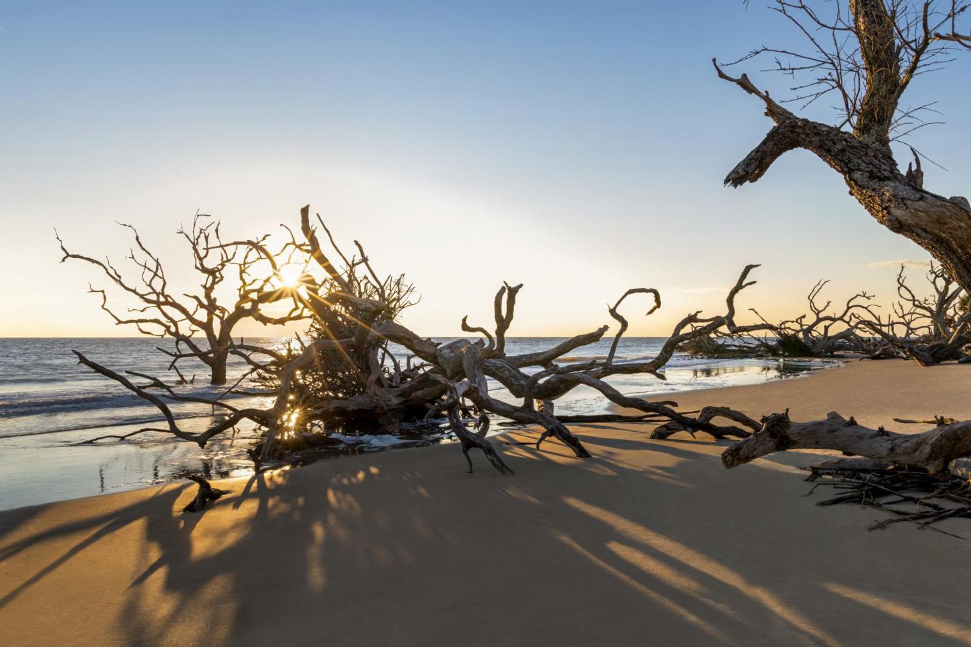 Holiday Inn Resort Jekyll Island By Ihg Exterior foto