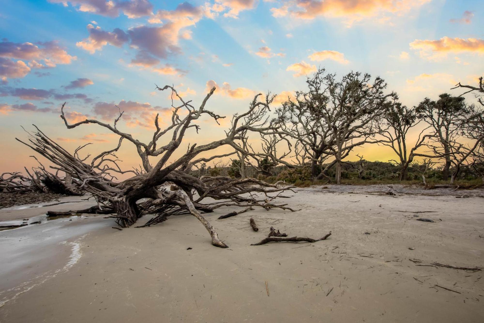Holiday Inn Resort Jekyll Island By Ihg Exterior foto